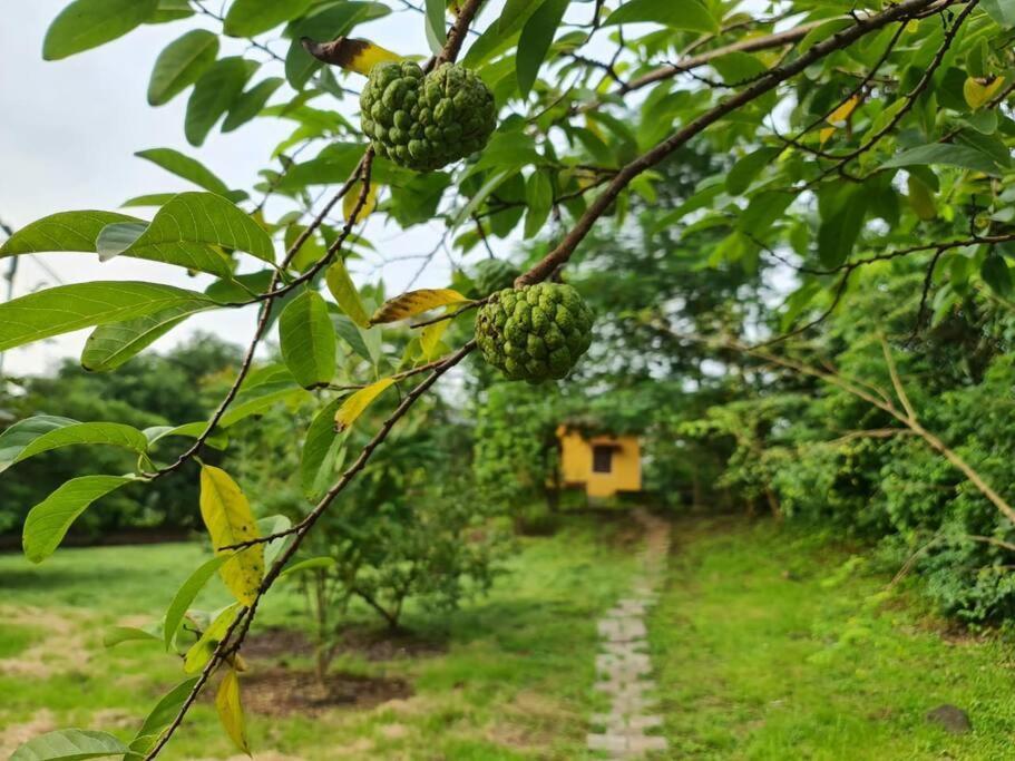 Sohana Eco Retreat Farmhouse - Karjat Chinchavli Exteriör bild
