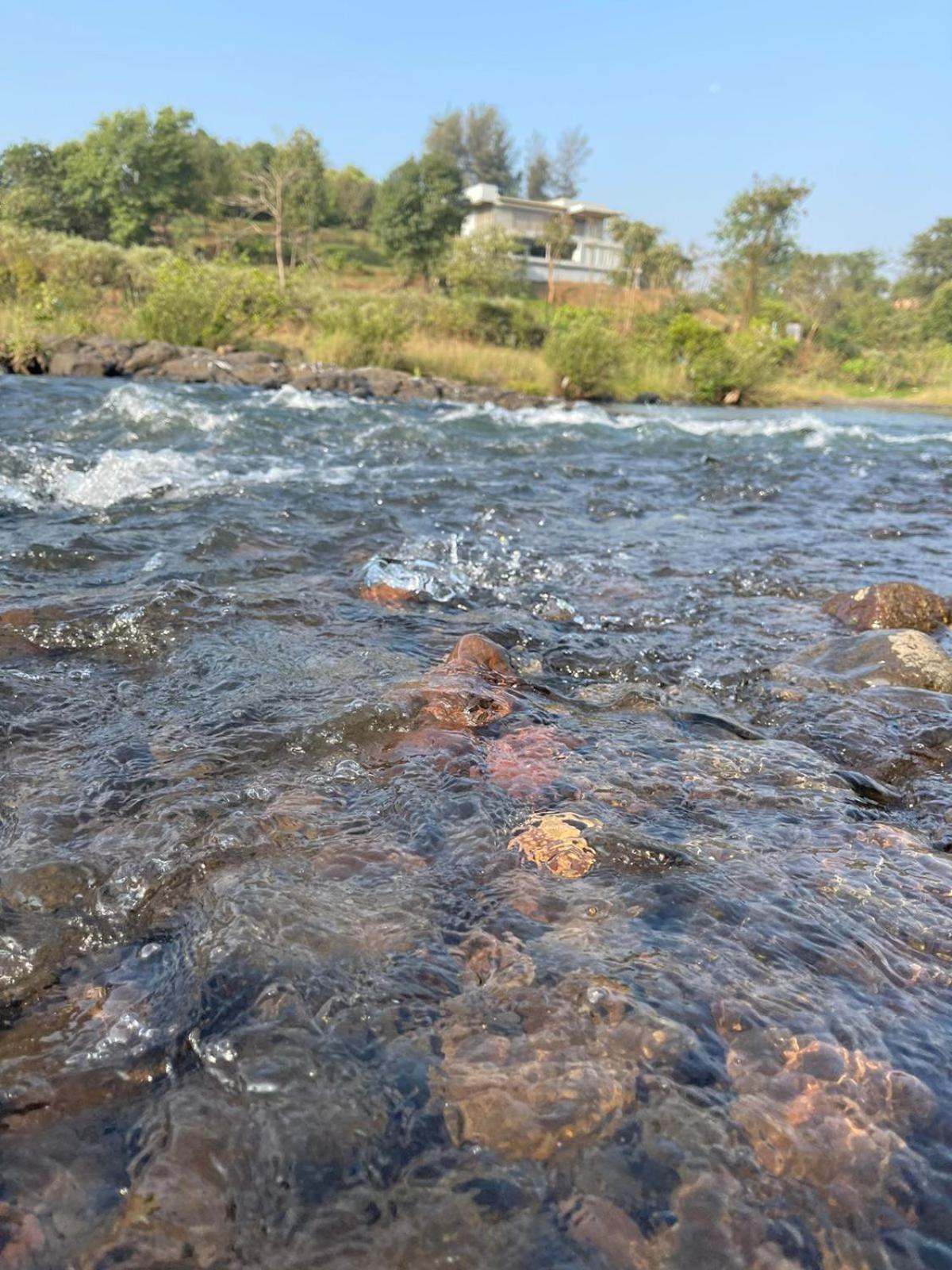 Sohana Eco Retreat Farmhouse - Karjat Chinchavli Rum bild